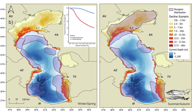 Marine life cemetery: The Caspian Sea ecosystem is collapsing under pressure from global warming and pollution