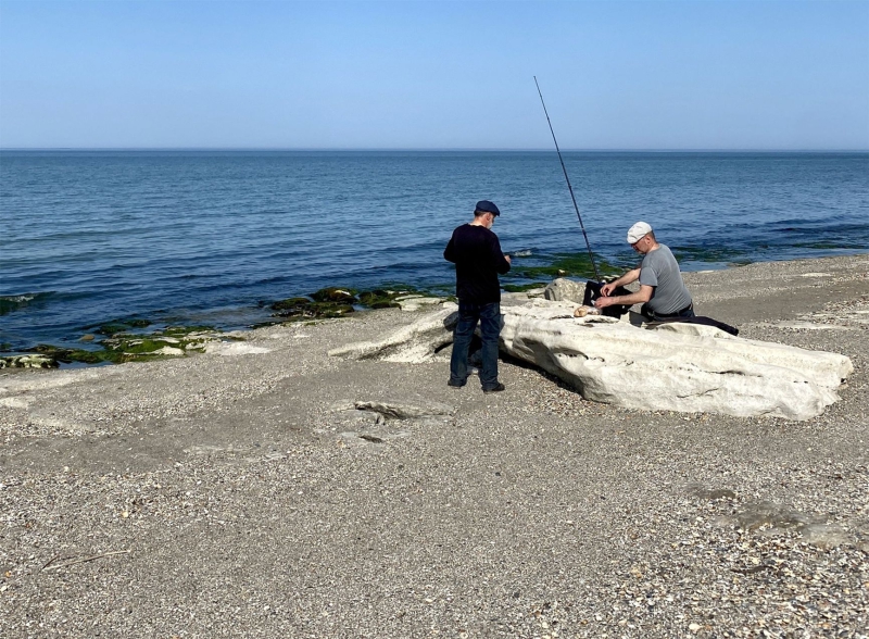 Marine life cemetery: The Caspian Sea ecosystem is collapsing under pressure from global warming and pollution