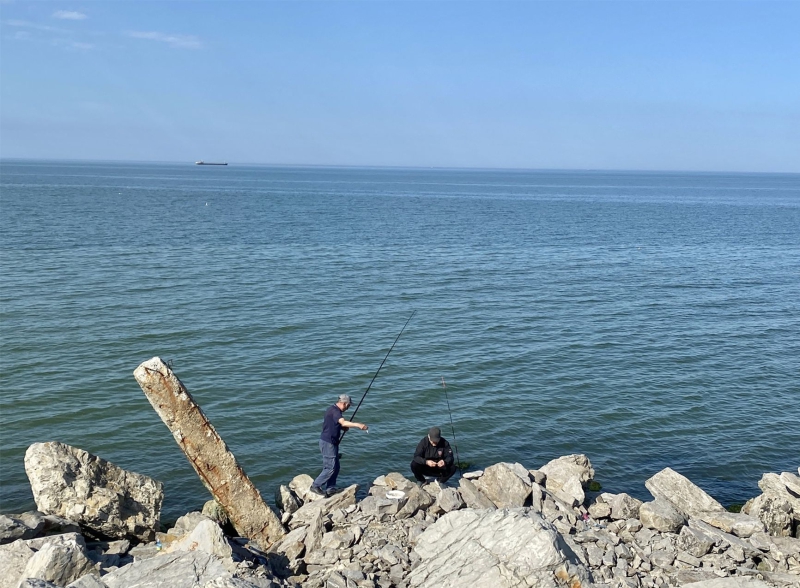 Marine life cemetery: The Caspian Sea ecosystem is collapsing under pressure from global warming and pollution