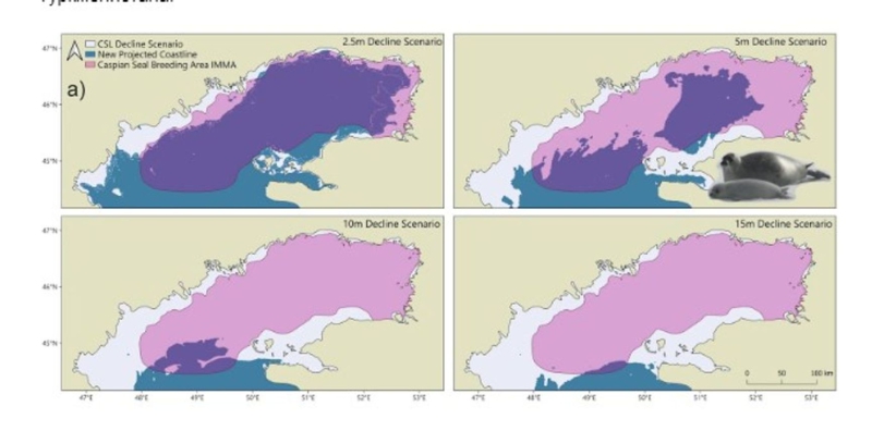 Marine life cemetery: The Caspian Sea ecosystem is collapsing under pressure from global warming and pollution