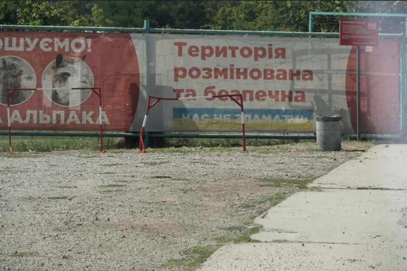 “Our tigers are used to shelling”: How the revived ecopark survives on the outskirts of Kharkiv
