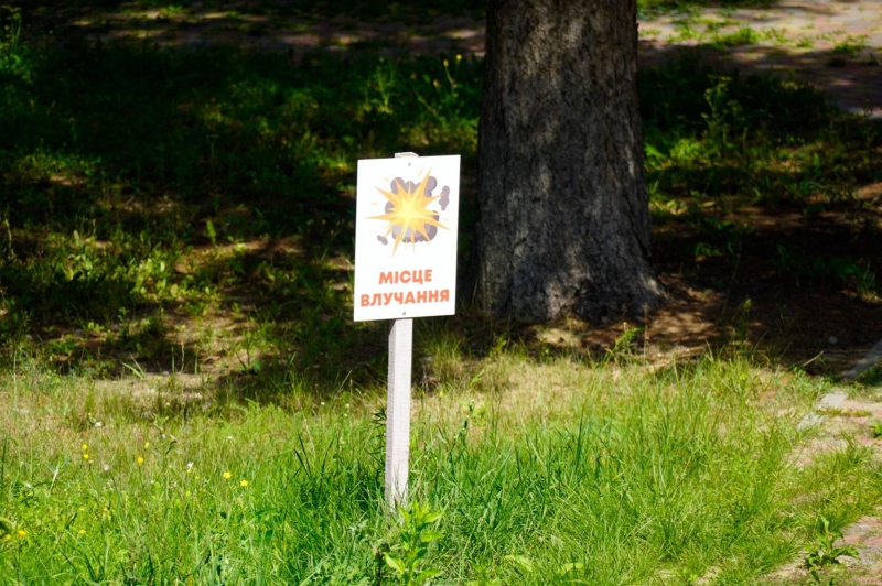 “Our tigers are used to shelling”: How the revived ecopark survives on the outskirts of Kharkiv
