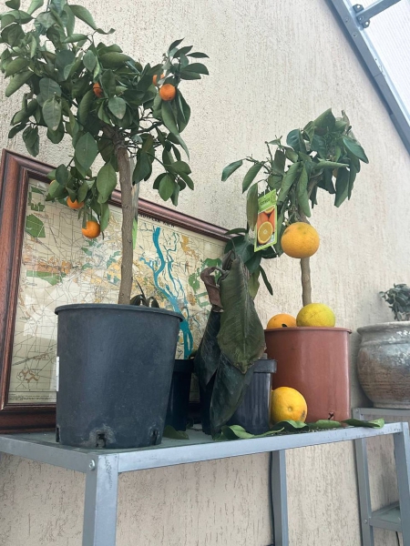 Heated bricks, shared generators, and candles: How Kyiv survives without power and heat