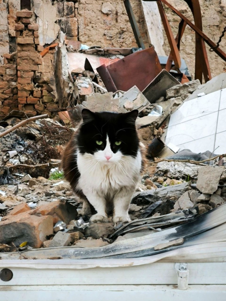 &ldquo;Stepping outside your apartment is a mortal risk&rdquo;: Russian forces target civilians as the Kremlin&rsquo;s &ldquo;human safari&rdquo; in Kherson continues