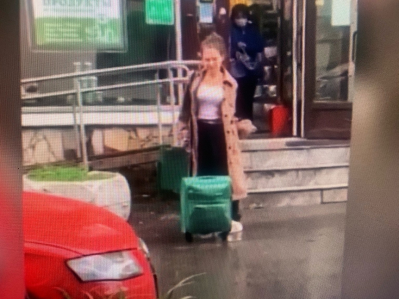 The Lab: How FSB chemical weapons experts tried to poison Alexei Navalny